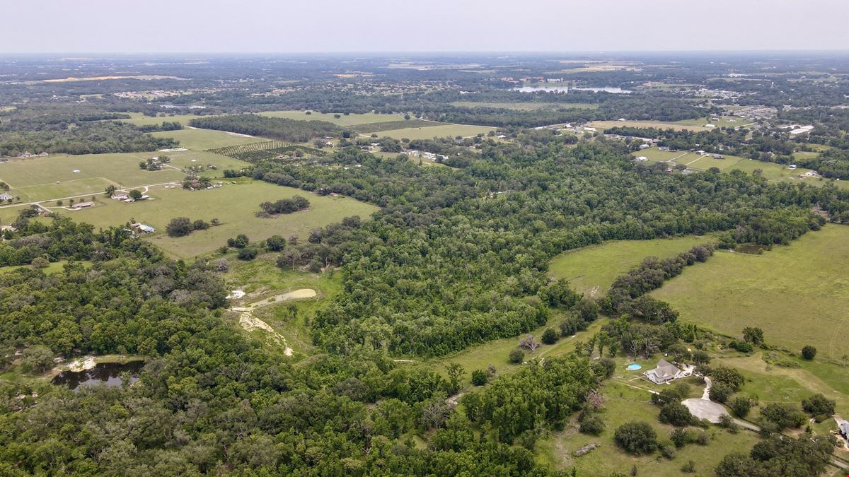 Curley Road Ranch
