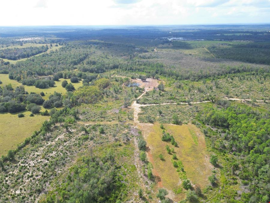 Ranch, Hunt & Invest: 280± Acres of Productive Timberland in SE Washington County