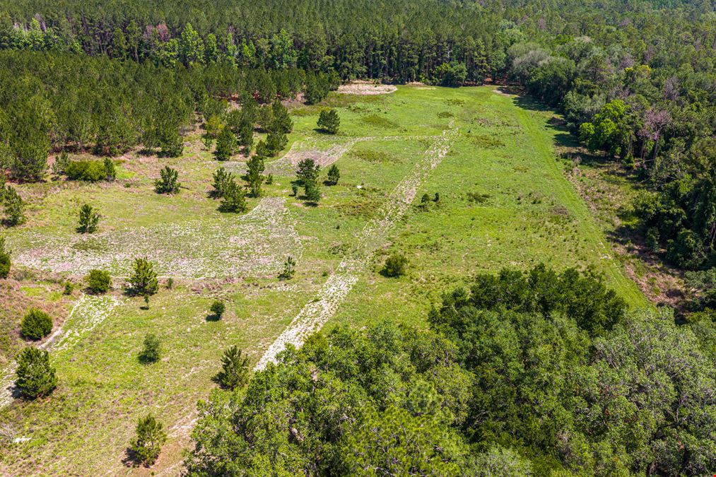 East Alachua County 35 Acre Recreation Tract