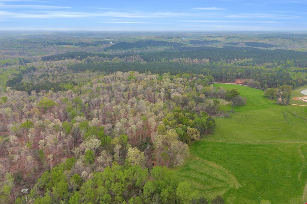 24+/- ACRES LAND FOR SALE MADISON COUNTY