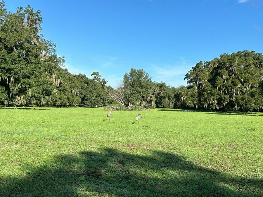 Hawthorne Trail Ranchette and Homesite