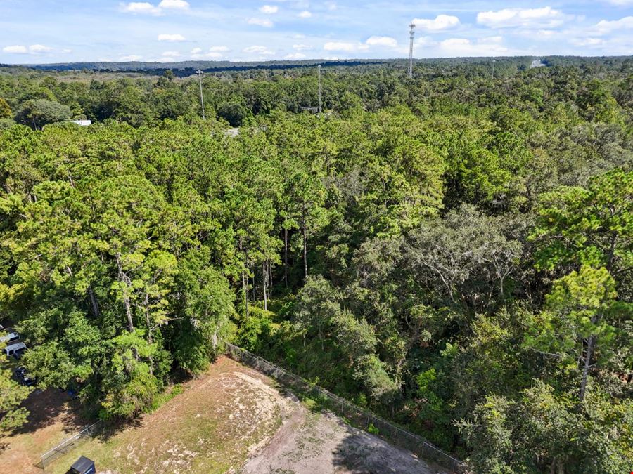 Prime Commercial Highway Land in Historic Micanopy