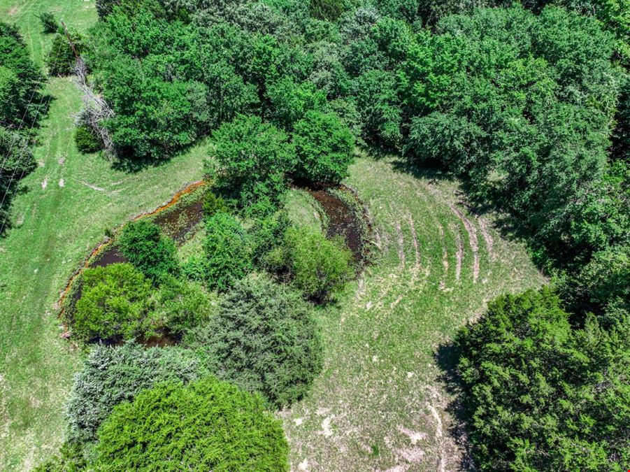 Land for Sale in Wills Point