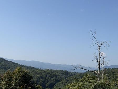 Preview of Land space for Sale at 4228 Wears Valley Rd Lot 161/162