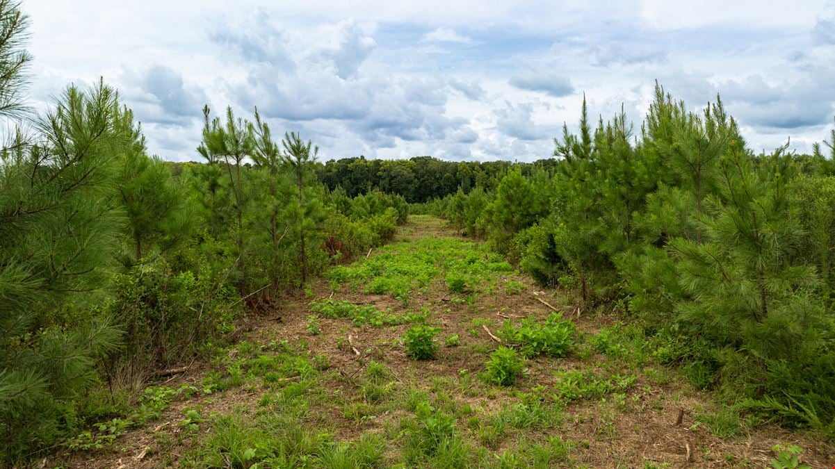 Shell Creek Farms