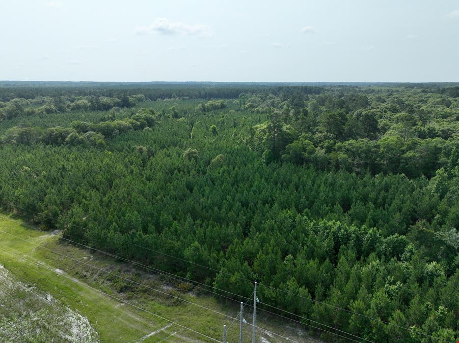 246 acres in Pierce County GA