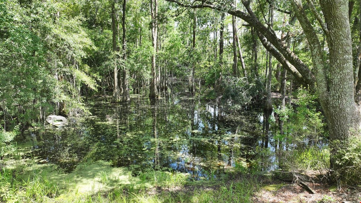 Graceville Duck Pond Farmland