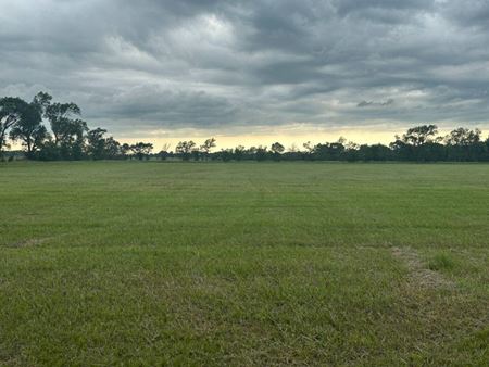 Preview of Unassigned space for Sale at 49195 873rd Road
