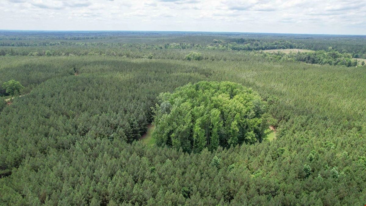 +/- 323 Acre Wooded Tract - Saluda County SC
