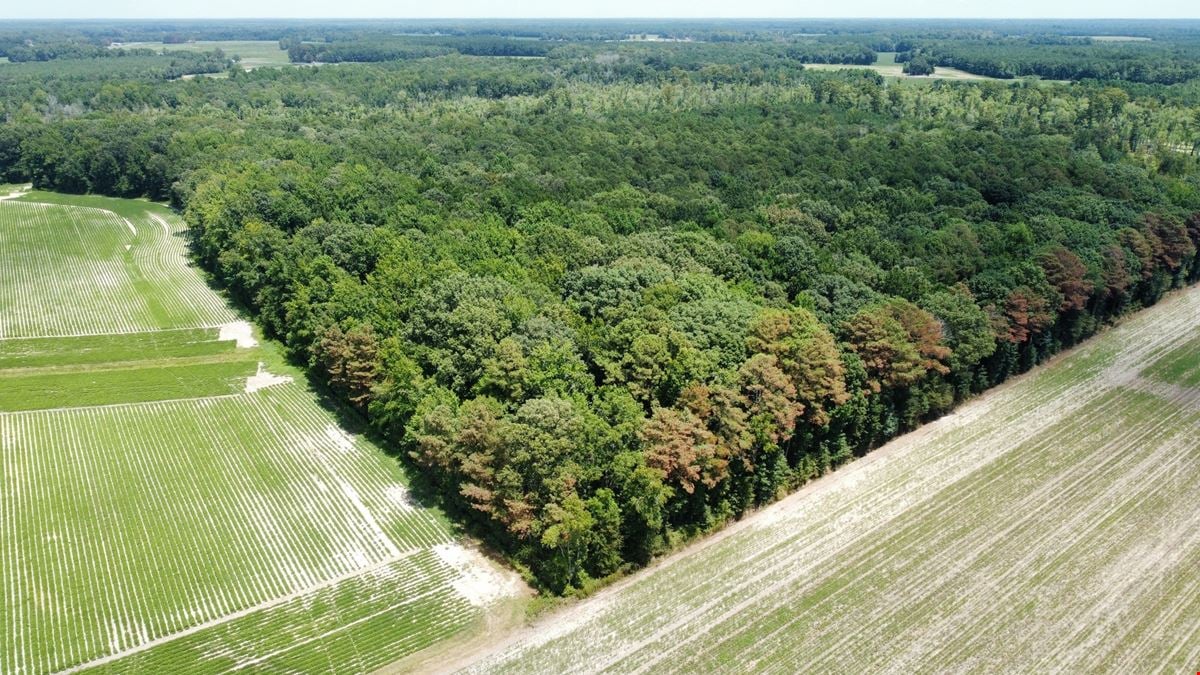 Ross Road 86 Acre Tract