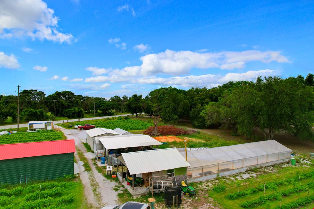 Organic Farm