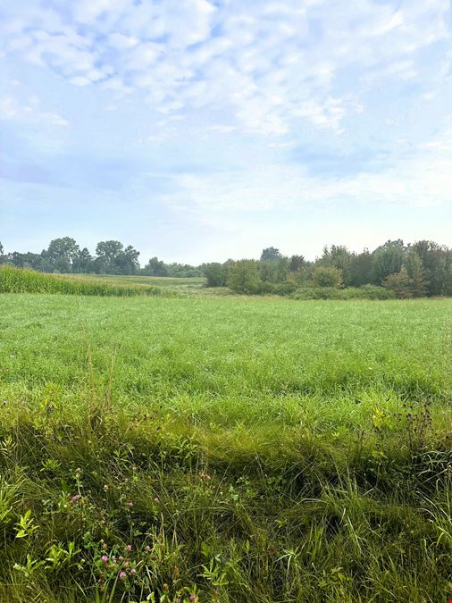 49.86 Acres AG Vacant Land in Chelsea