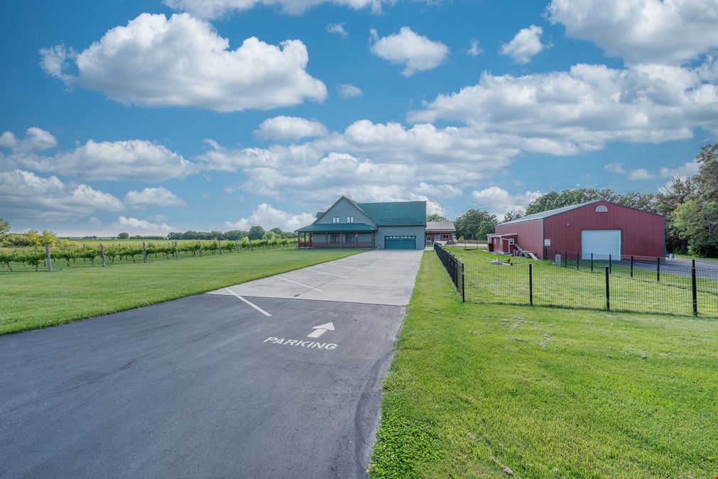 Spirits of Norway Vineyard