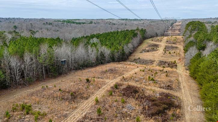 ±105-Acre Recreational Tract with Practical Homestead Sites