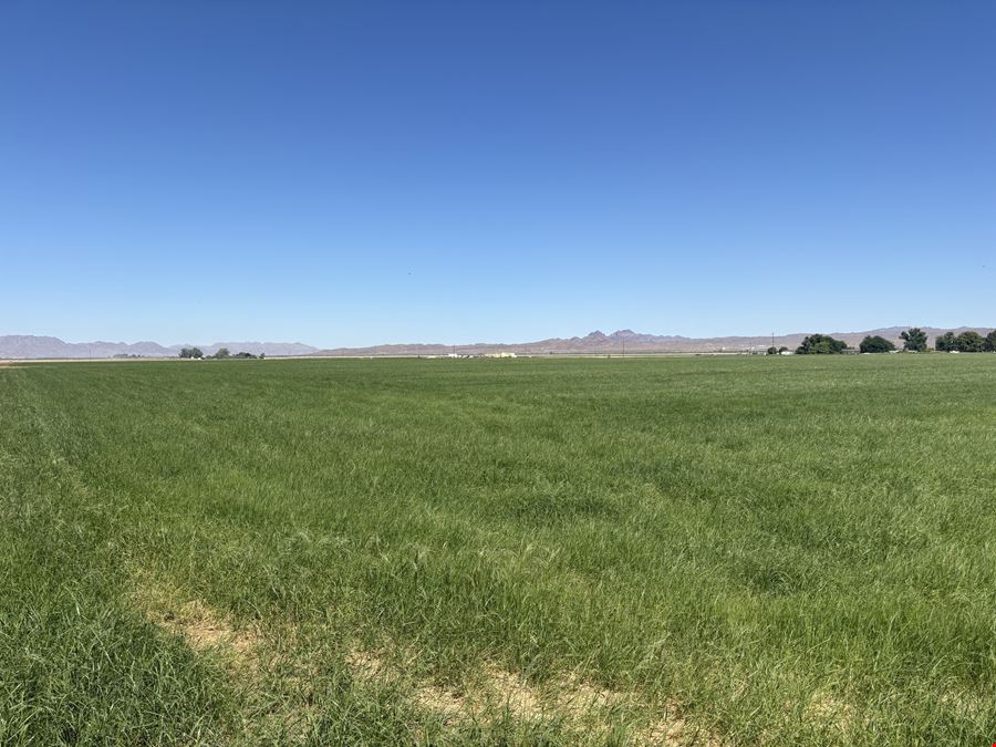 Excellent Vegetable Farmland: ±110 Water Acres in Wellton