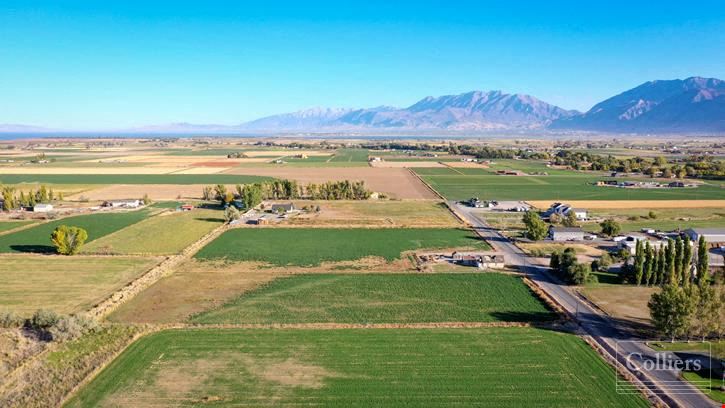 Maple Lake Farms Land