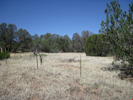 Preview of VacantLand space for Sale at 152 Jesse James Rd