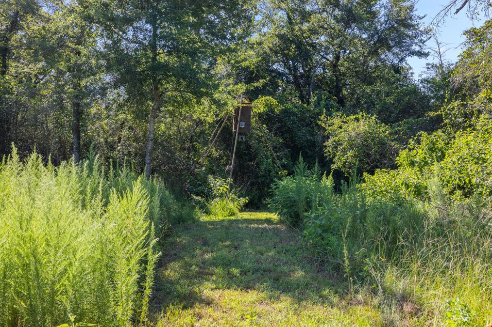 16135 Wilson Pasture Road