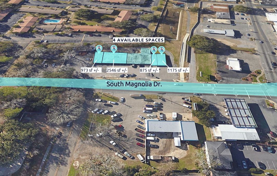 Tallahassee Retail for Lease on S Magnolia Dr