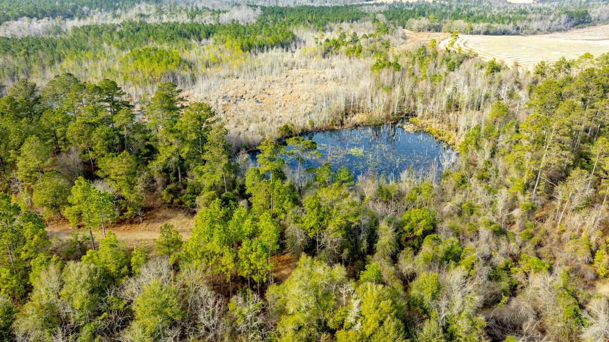 Telfair Tract 1