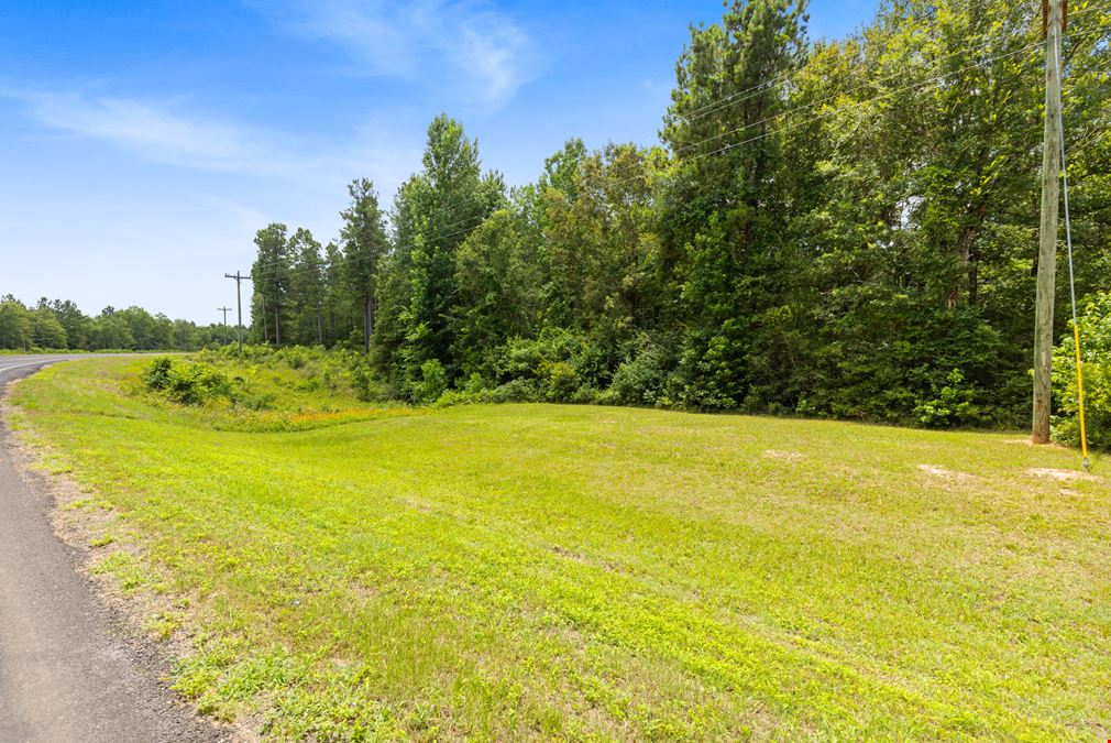 Strategic Land Investment in Trinity