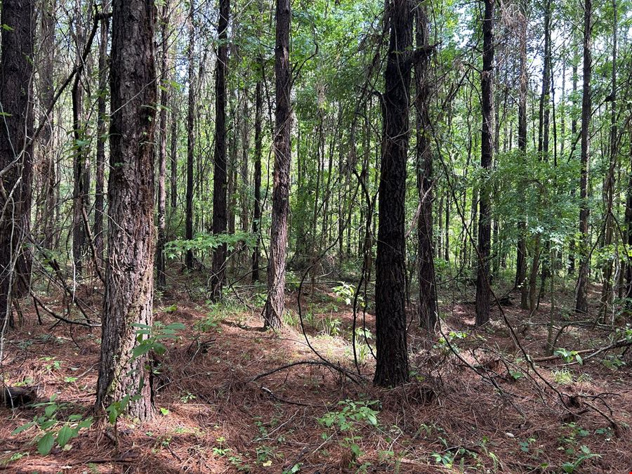 Fox Pen Tract