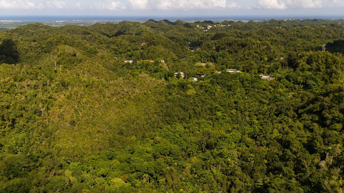 Arecibo Vacant Land @ Arrozal Ward - For Sale