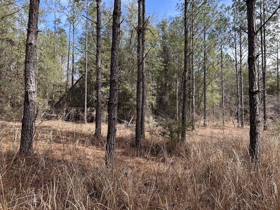 Garland Belmont Tract