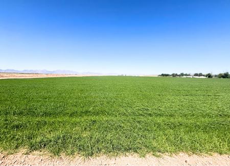 Preview of VacantLand space for Sale at Excellent Vegetable Farmland: ±110 Water Acres in Wellton