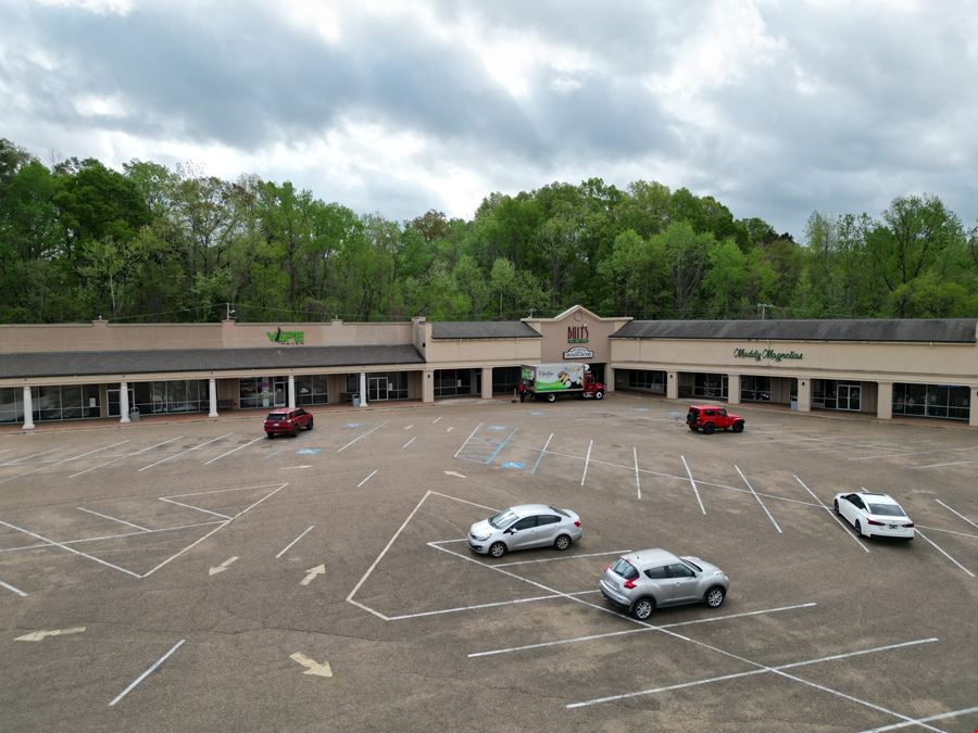 Vicksburg Commons Shopping Center