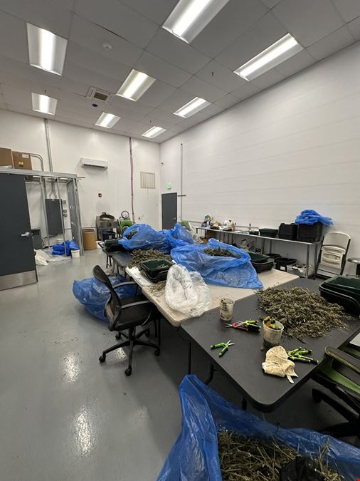 Burton - Former Operating/Turnkey Cultivation and Processing Facility