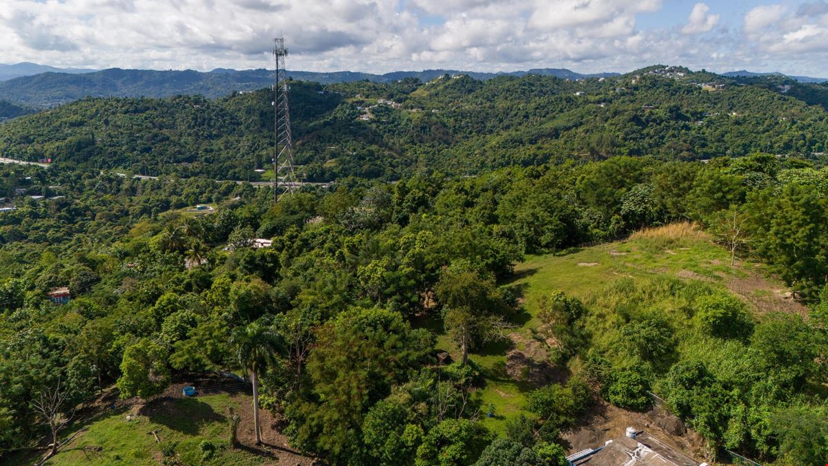 Trujillo Alto Vacant Land at Carraízo - For Sale