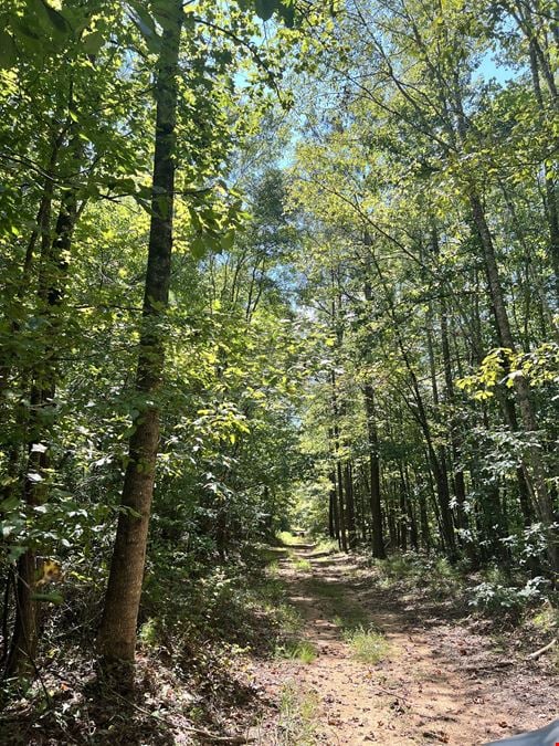 Partridge Creek 245