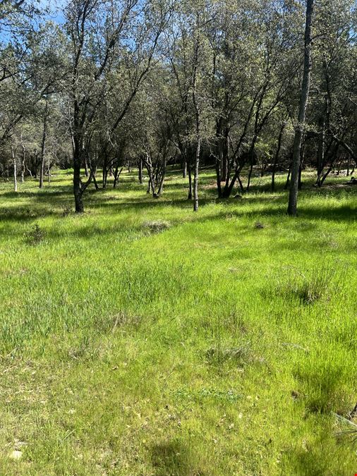 Diamond Springs Land