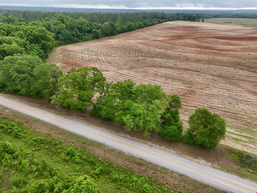 County Line Pasture Land
