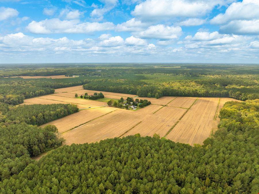 Riley Farm - 109.47 Acres of Ag Land