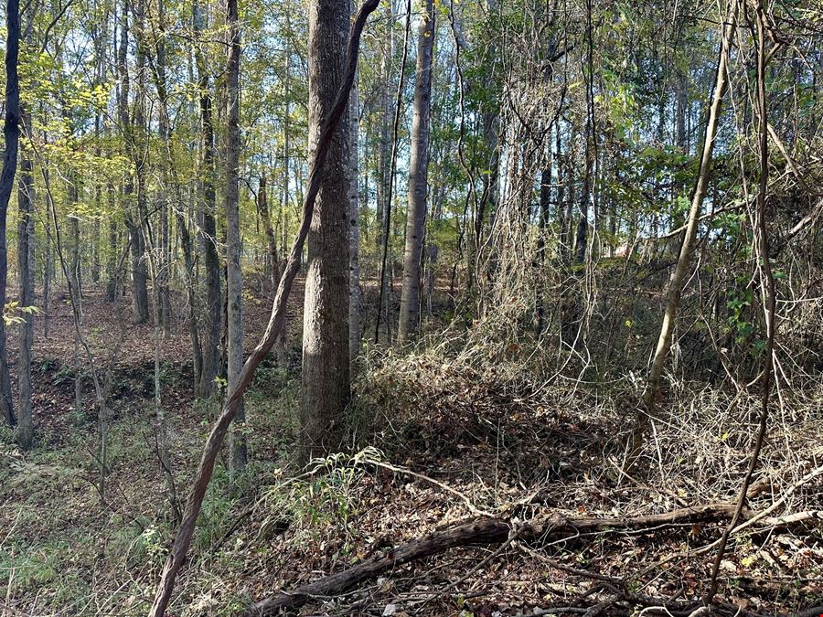 Highway 27 - 10.69 Acres
