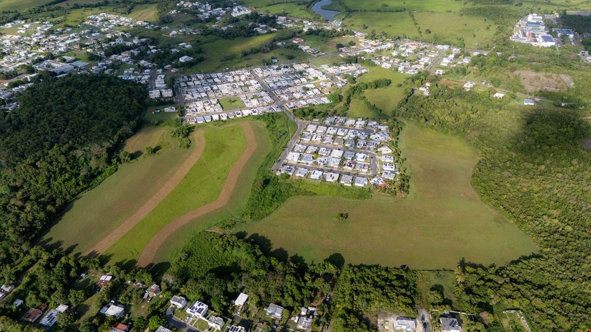 16 Cuerdas Strategically Located @ Camaceyes, Aguadilla FOR SALE