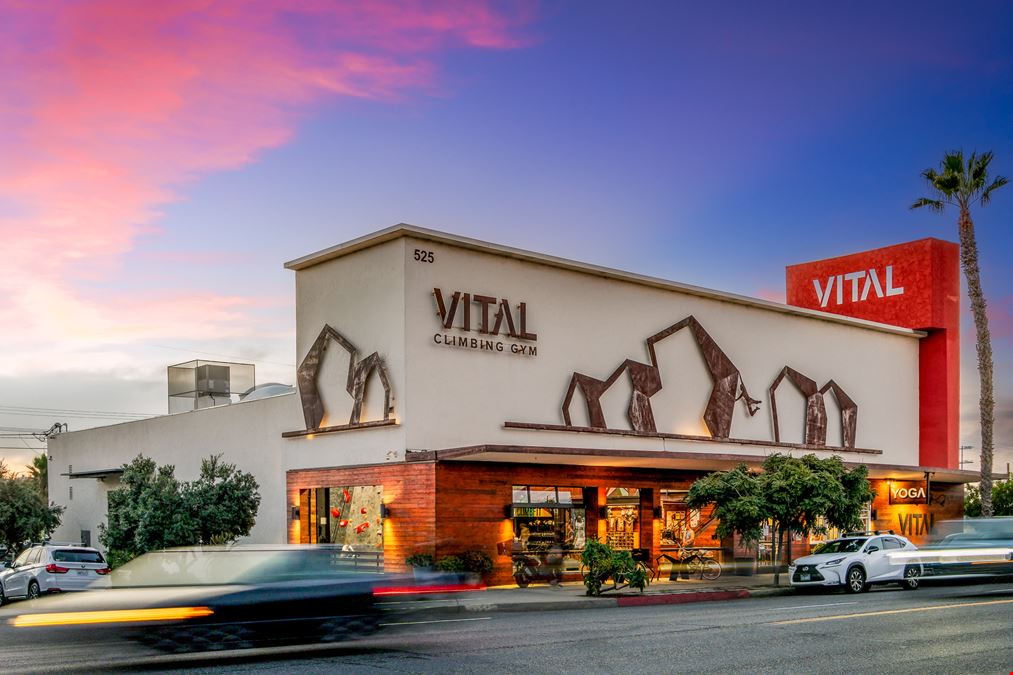 Vital Climbing Gym