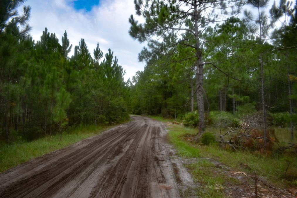 Flagler County Land Investment and Recreational Tract