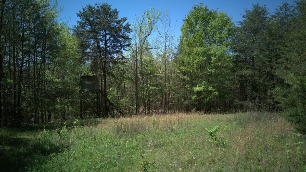 ± 34.48 Unrestricted Acres Near Lake Keowee