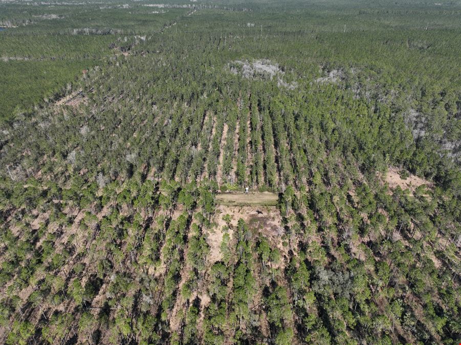 Palatka 356 Ac Development Tract