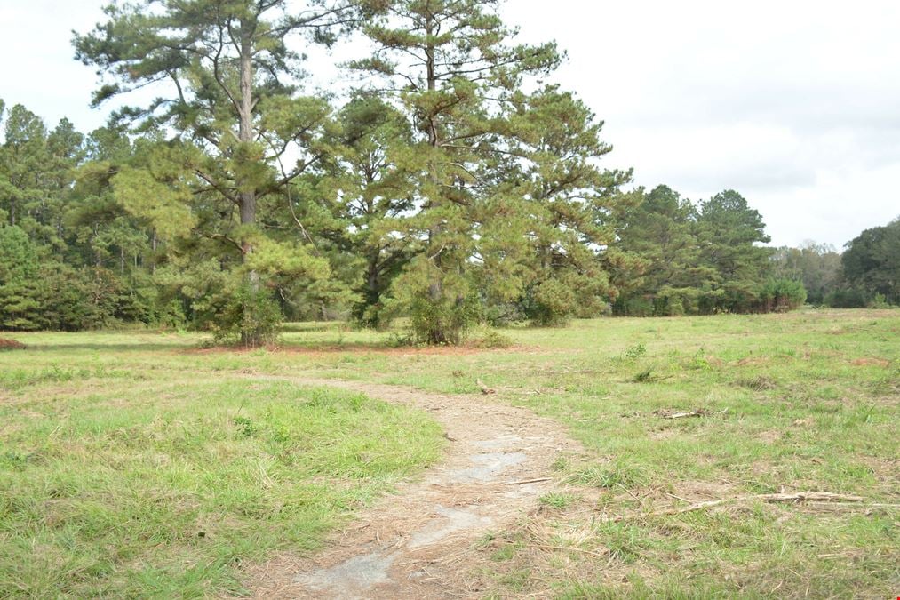 2941 Louisiana 19
