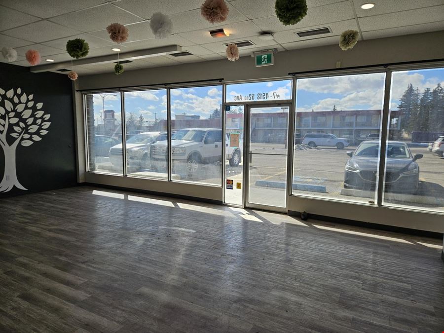 Mountain View Plaza