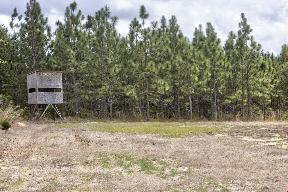Timber Ridge Farm - Timberland Package