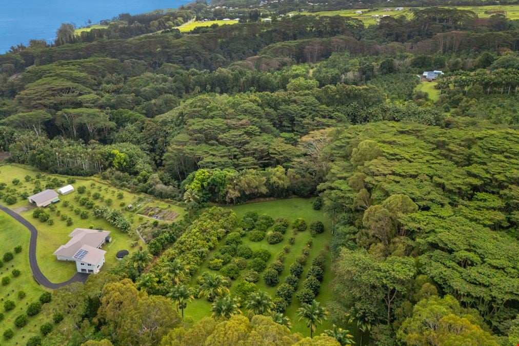 Luxurious Hawaiian Working Farm Retreat