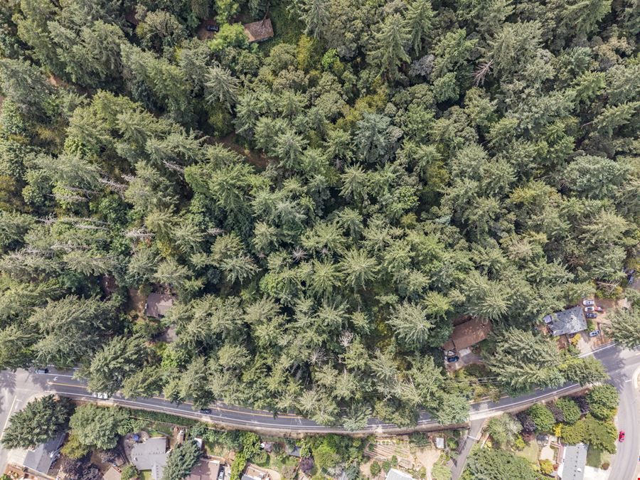 Residential lots