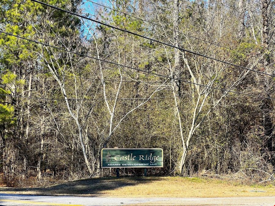 Castle Ridge Lots