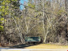 Castle Ridge Lots