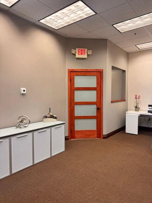 Professional Office